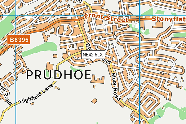 NE42 5LX map - OS VectorMap District (Ordnance Survey)