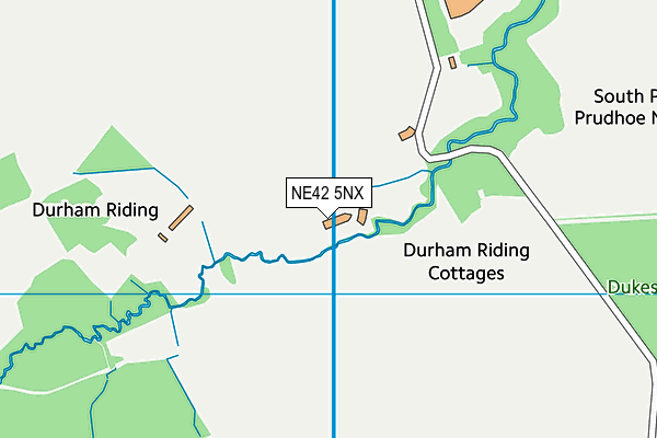 NE42 5NX map - OS VectorMap District (Ordnance Survey) NE42 5NX map - OS VectorMap District (Ordnance Survey)