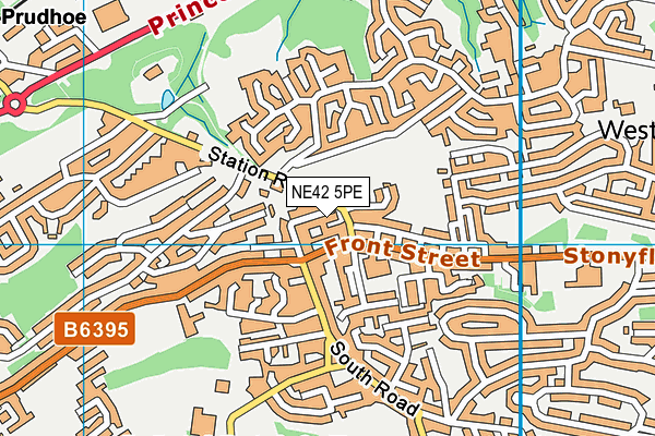 NE42 5PE map - OS VectorMap District (Ordnance Survey) NE42 5PE map - OS VectorMap District (Ordnance Survey)