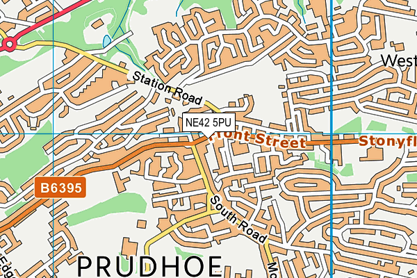 NE42 5PU map - OS VectorMap District (Ordnance Survey) NE42 5PU map - OS VectorMap District (Ordnance Survey)