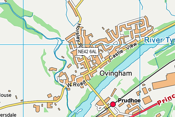 NE42 6AL map - OS VectorMap District (Ordnance Survey)