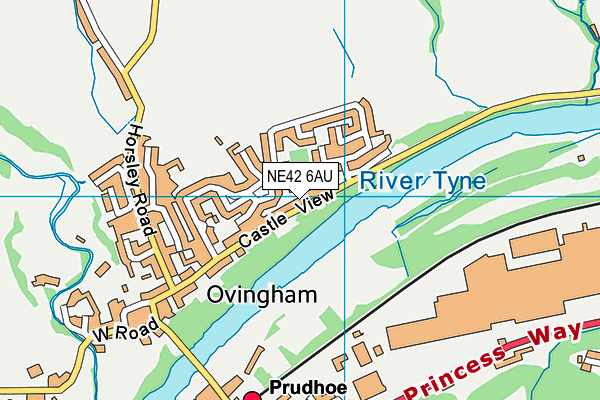 NE42 6AU map - OS VectorMap District (Ordnance Survey)