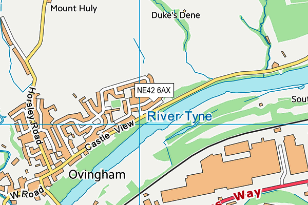 NE42 6AX map - OS VectorMap District (Ordnance Survey)