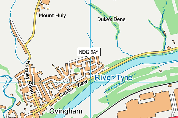 NE42 6AY map - OS VectorMap District (Ordnance Survey)