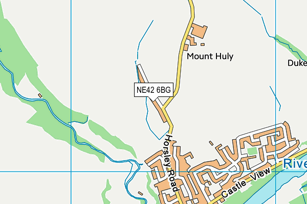 NE42 6BG map - OS VectorMap District (Ordnance Survey) NE42 6BG map - OS VectorMap District (Ordnance Survey)