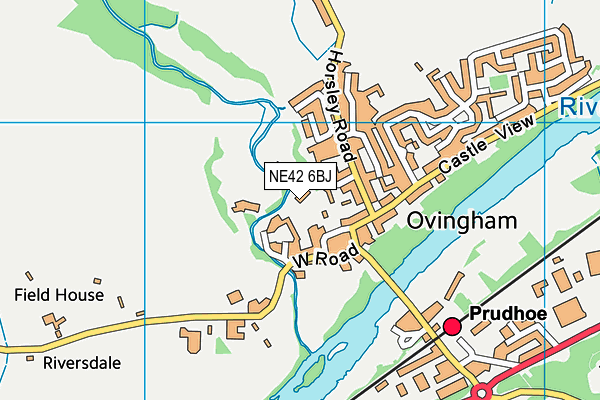 NE42 6BJ map - OS VectorMap District (Ordnance Survey)