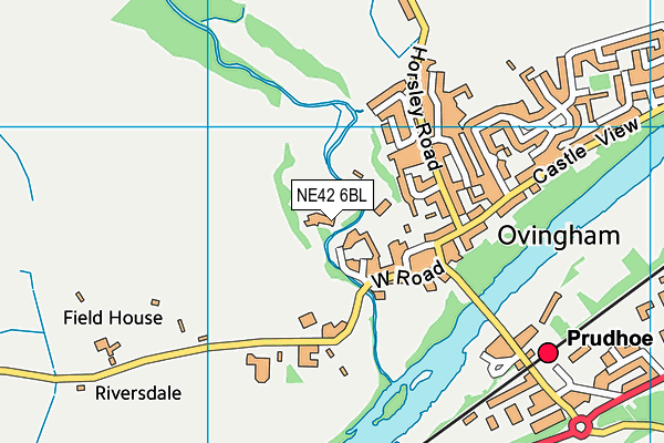 NE42 6BL map - OS VectorMap District (Ordnance Survey)