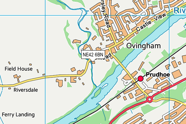 NE42 6BN map - OS VectorMap District (Ordnance Survey)