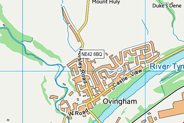NE42 6BQ map - OS VectorMap District (Ordnance Survey) NE42 6BQ map - OS VectorMap District (Ordnance Survey)