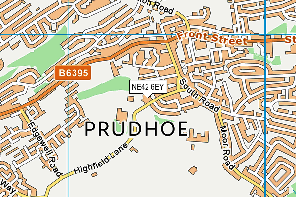 NE42 6EY map - OS VectorMap District (Ordnance Survey) NE42 6EY map - OS VectorMap District (Ordnance Survey)