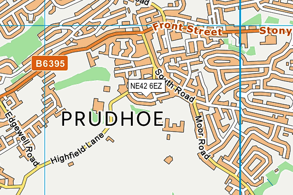 NE42 6EZ map - OS VectorMap District (Ordnance Survey)