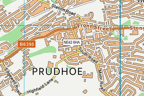 NE42 6HA map - OS VectorMap District (Ordnance Survey) NE42 6HA map - OS VectorMap District (Ordnance Survey)