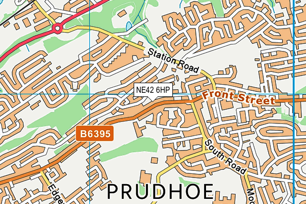 NE42 6HP map - OS VectorMap District (Ordnance Survey)