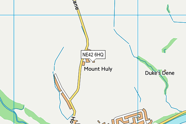 NE42 6HQ map - OS VectorMap District (Ordnance Survey) NE42 6HQ map - OS VectorMap District (Ordnance Survey)
