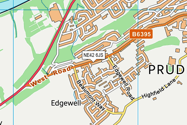 NE42 6JS map - OS VectorMap District (Ordnance Survey) NE42 6JS map - OS VectorMap District (Ordnance Survey)