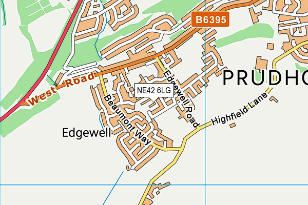 NE42 6LG map - OS VectorMap District (Ordnance Survey)