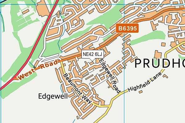 NE42 6LJ map - OS VectorMap District (Ordnance Survey)