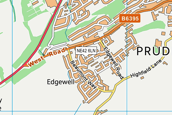 NE42 6LN map - OS VectorMap District (Ordnance Survey)