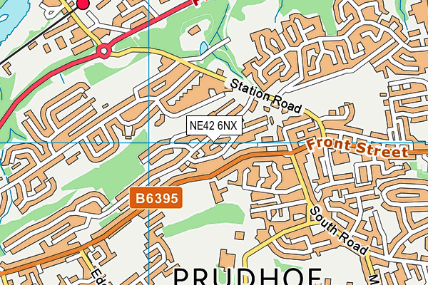 NE42 6NX map - OS VectorMap District (Ordnance Survey)