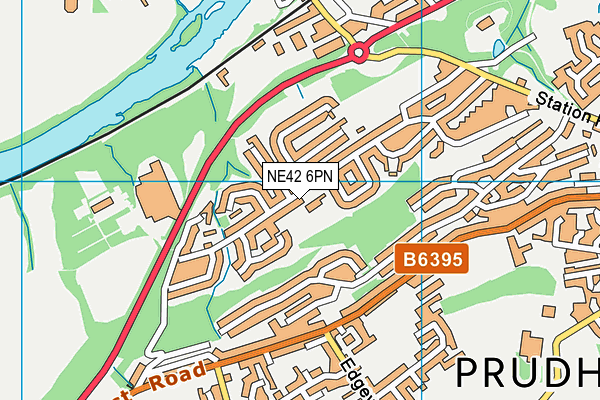 NE42 6PN map - OS VectorMap District (Ordnance Survey)