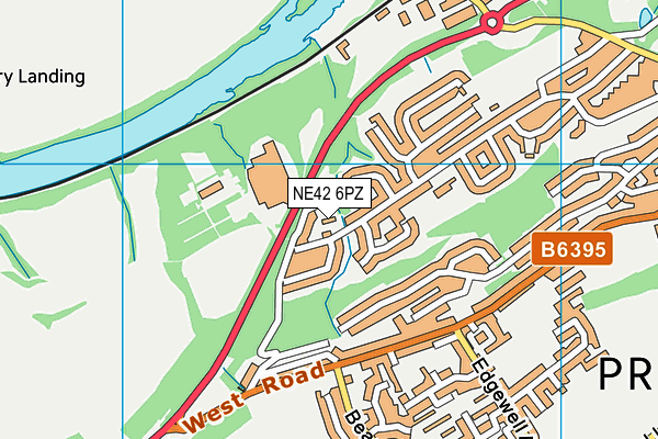 NE42 6PZ map - OS VectorMap District (Ordnance Survey) NE42 6PZ map - OS VectorMap District (Ordnance Survey)