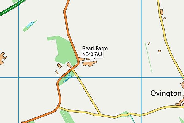 NE43 7AJ map - OS VectorMap District (Ordnance Survey) NE43 7AJ map - OS VectorMap District (Ordnance Survey)
