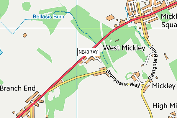 NE43 7AY map - OS VectorMap District (Ordnance Survey)