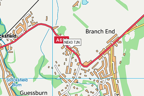 NE43 7JN map - OS VectorMap District (Ordnance Survey) NE43 7JN map - OS VectorMap District (Ordnance Survey)