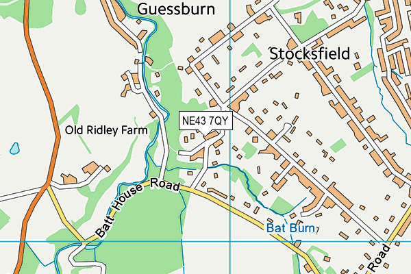 NE43 7QY map - OS VectorMap District (Ordnance Survey) NE43 7QY map - OS VectorMap District (Ordnance Survey)