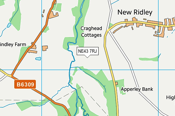 NE43 7RJ map - OS VectorMap District (Ordnance Survey)