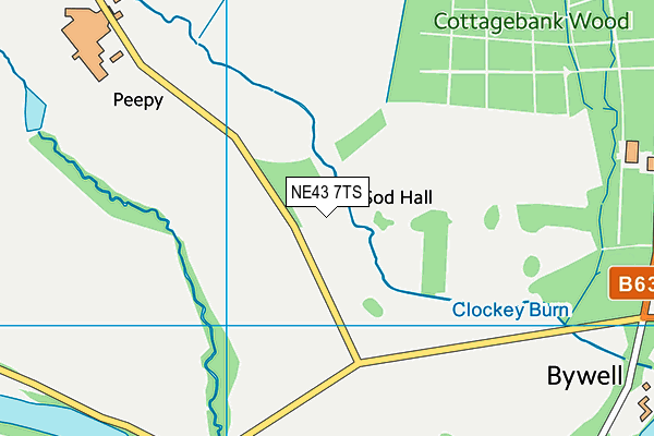 NE43 7TS map - OS VectorMap District (Ordnance Survey) NE43 7TS map - OS VectorMap District (Ordnance Survey)