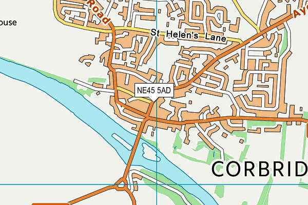 NE45 5AD map - OS VectorMap District (Ordnance Survey)
