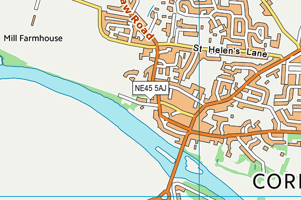 NE45 5AJ map - OS VectorMap District (Ordnance Survey) NE45 5AJ map - OS VectorMap District (Ordnance Survey)