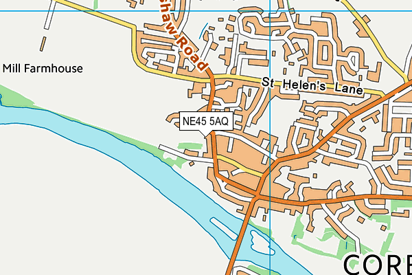 NE45 5AQ map - OS VectorMap District (Ordnance Survey) NE45 5AQ map - OS VectorMap District (Ordnance Survey)