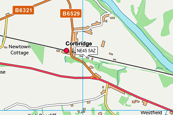 NE45 5AZ map - OS VectorMap District (Ordnance Survey) NE45 5AZ map - OS VectorMap District (Ordnance Survey)