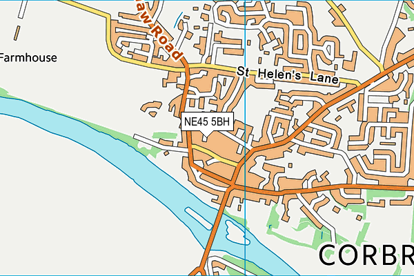 NE45 5BH map - OS VectorMap District (Ordnance Survey) NE45 5BH map - OS VectorMap District (Ordnance Survey)