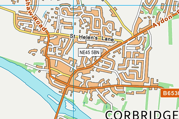 NE45 5BN map - OS VectorMap District (Ordnance Survey) NE45 5BN map - OS VectorMap District (Ordnance Survey)