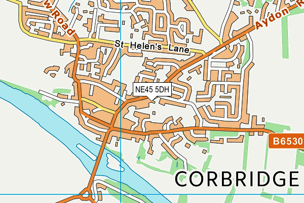 NE45 5DH map - OS VectorMap District (Ordnance Survey) NE45 5DH map - OS VectorMap District (Ordnance Survey)