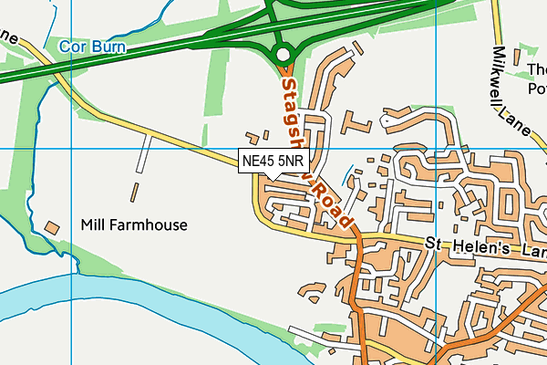 NE45 5NR map - OS VectorMap District (Ordnance Survey) NE45 5NR map - OS VectorMap District (Ordnance Survey)