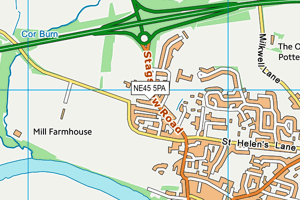 NE45 5PA map - OS VectorMap District (Ordnance Survey)