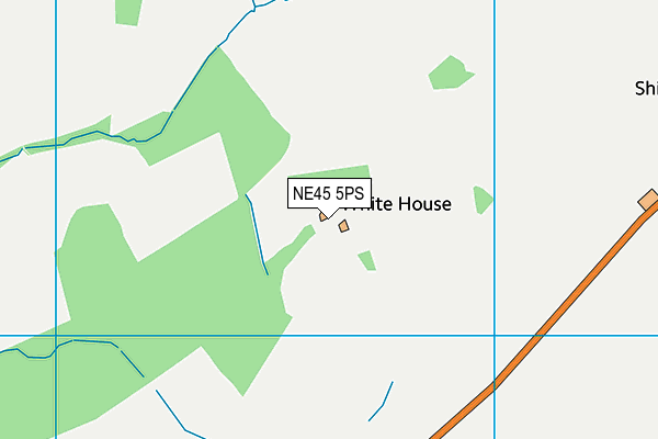 NE45 5PS map - OS VectorMap District (Ordnance Survey) NE45 5PS map - OS VectorMap District (Ordnance Survey)