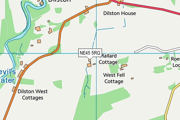 NE45 5RQ map - OS VectorMap District (Ordnance Survey)