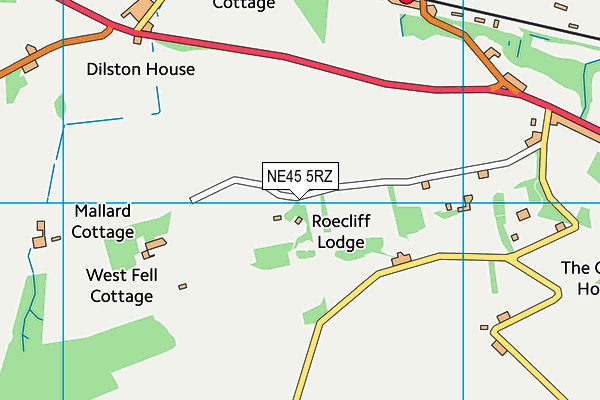 NE45 5RZ map - OS VectorMap District (Ordnance Survey)