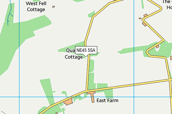 NE45 5SA map - OS VectorMap District (Ordnance Survey)