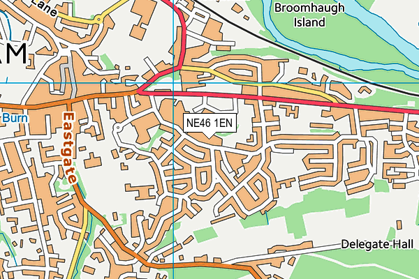 NE46 1EN map - OS VectorMap District (Ordnance Survey)