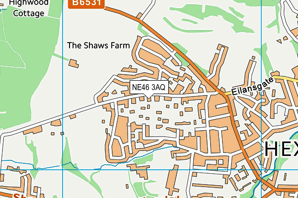 NE46 3AQ map - OS VectorMap District (Ordnance Survey)