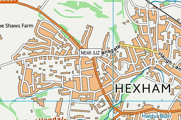 NE46 3JZ map - OS VectorMap District (Ordnance Survey)