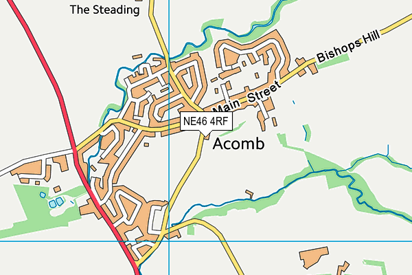 NE46 4RF map - OS VectorMap District (Ordnance Survey) NE46 4RF map - OS VectorMap District (Ordnance Survey)