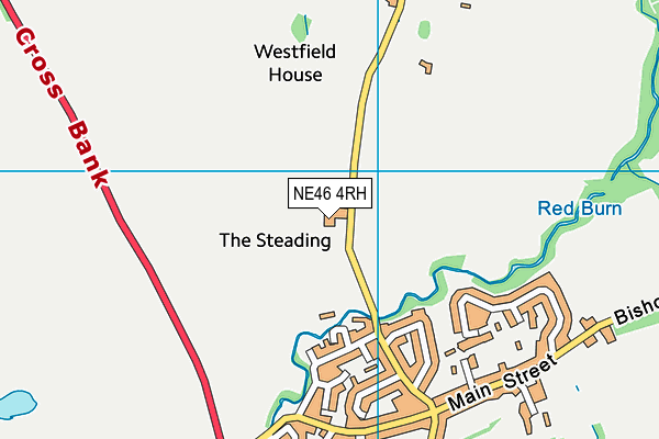 NE46 4RH map - OS VectorMap District (Ordnance Survey) NE46 4RH map - OS VectorMap District (Ordnance Survey)