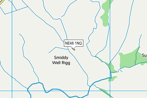 NE48 1NQ map - OS VectorMap District (Ordnance Survey) NE48 1NQ map - OS VectorMap District (Ordnance Survey)
